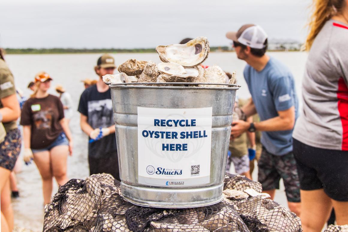 Bucket of oyster shell at Sink Your Shucks restoration event