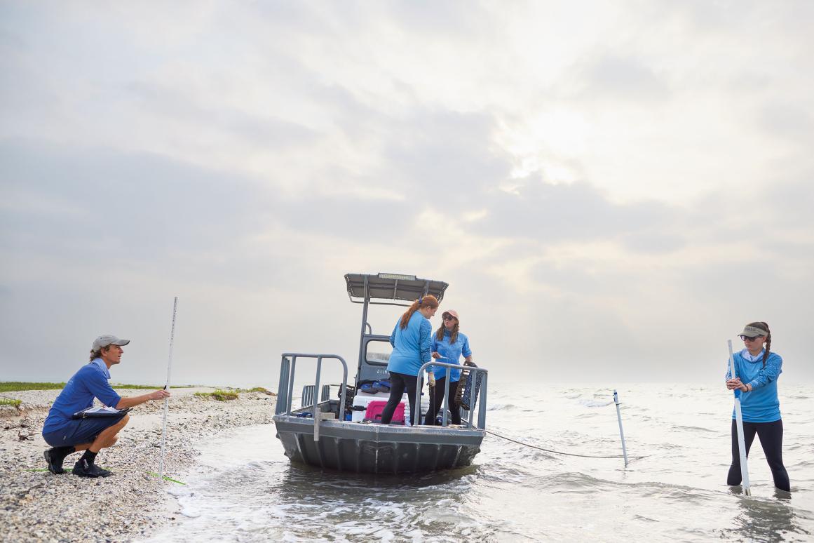HRI researchers on oyster reef