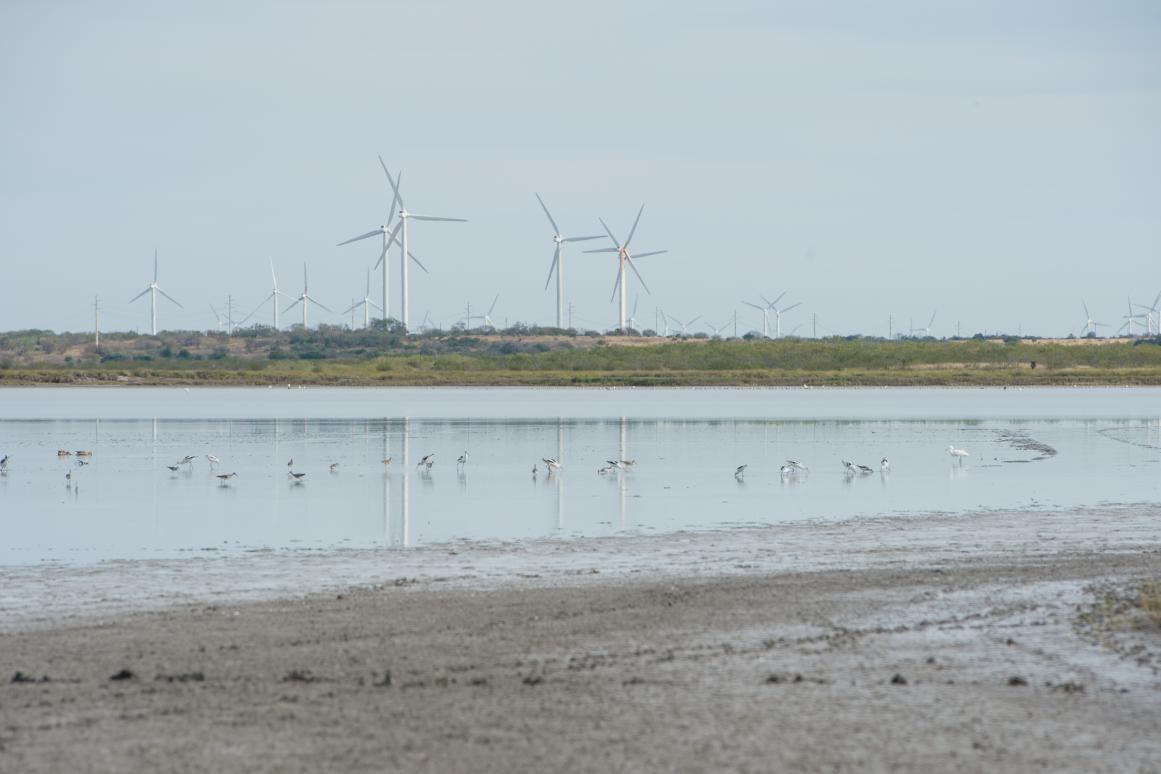 Tidal flat