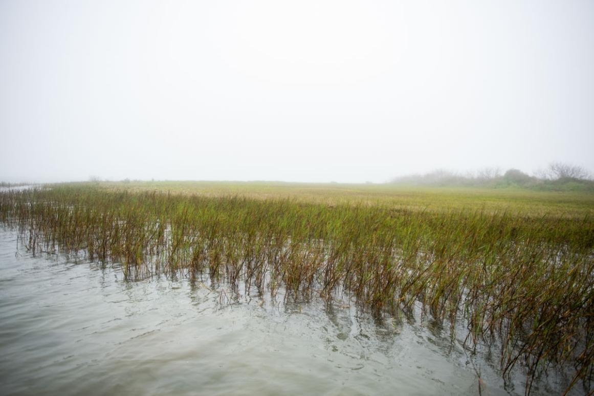 Matagorda bay