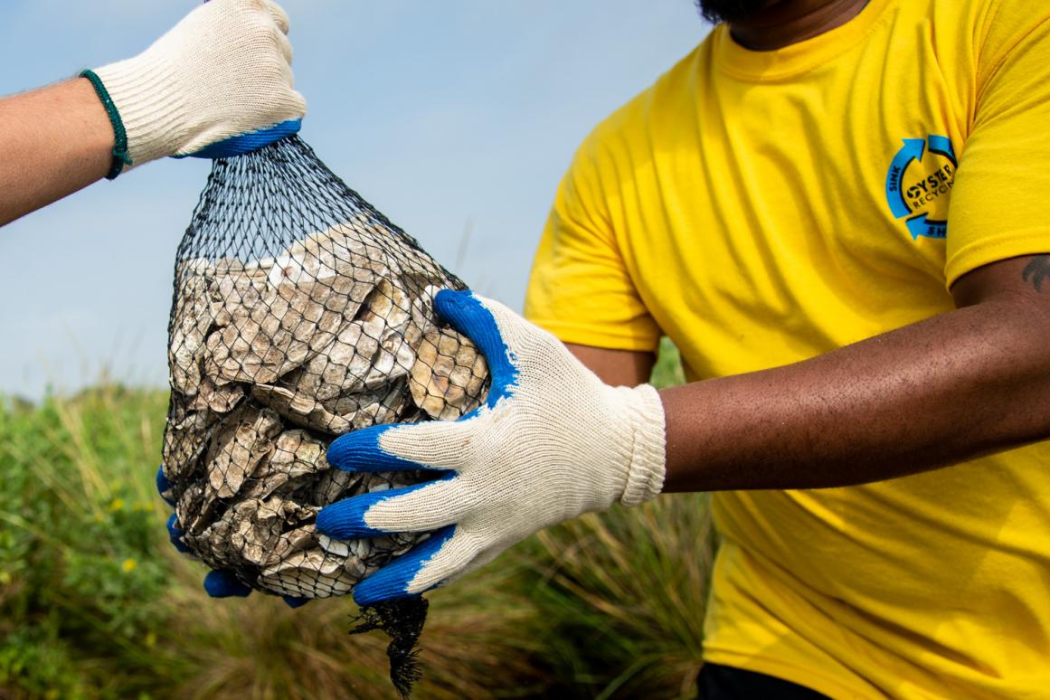 oyster recycling