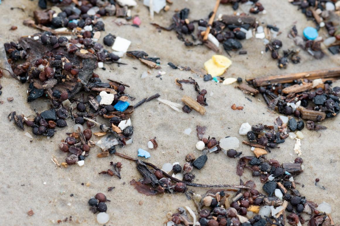 nurdles among wrack on a Texas beach