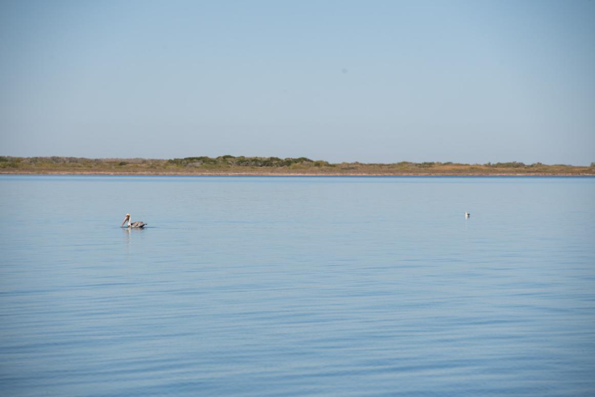 Texas coast