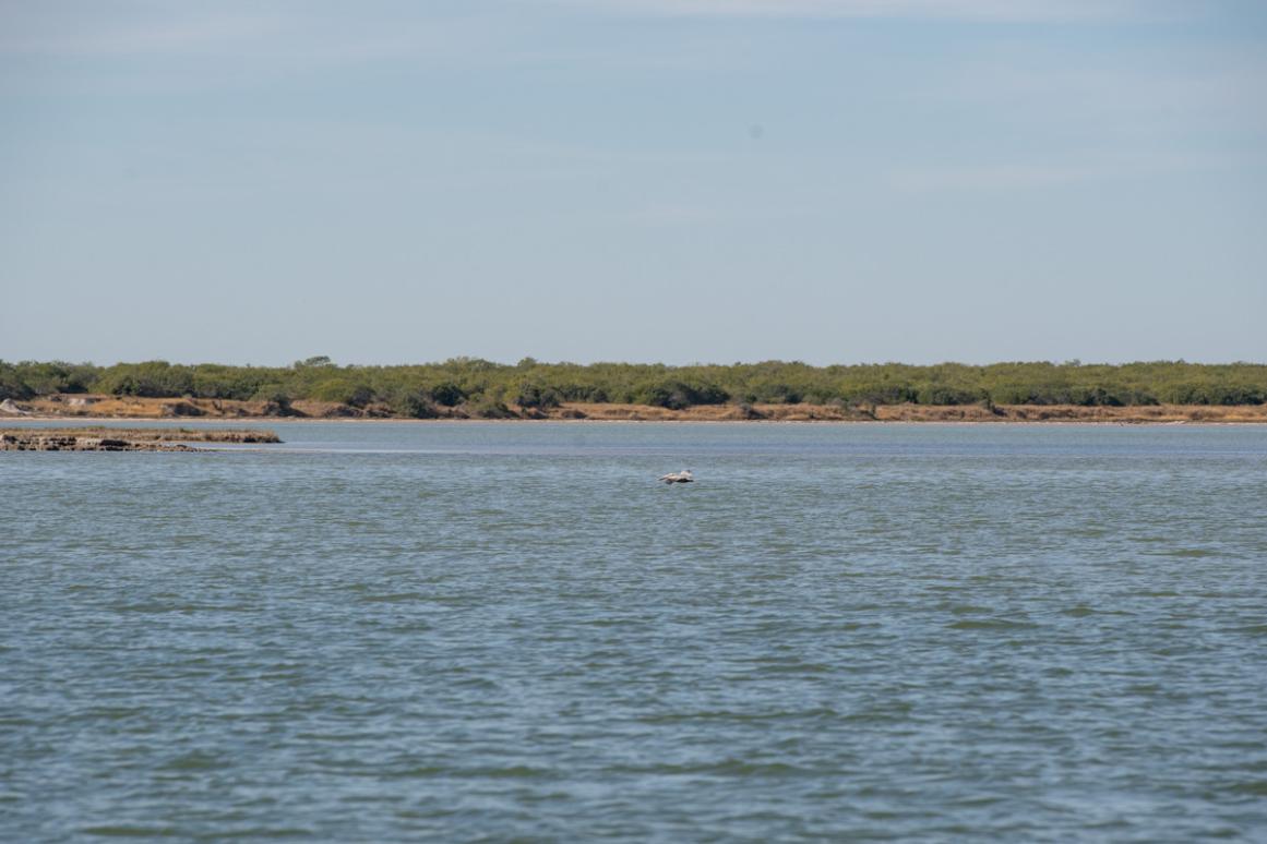 Baffin Bay shoreline