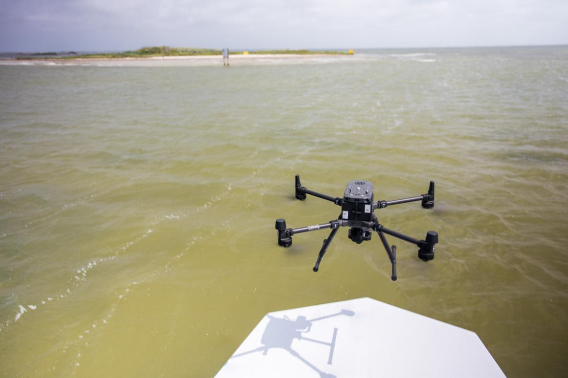 surveying colonies via drone