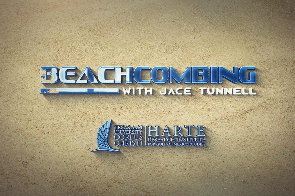 Beachcoming logo