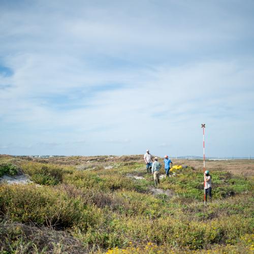 Mustang Island