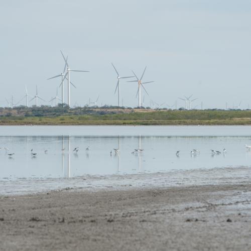 Tidal flat