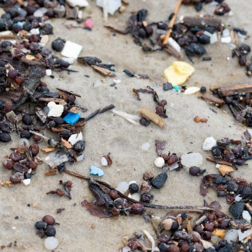 microplastics on Texas beach