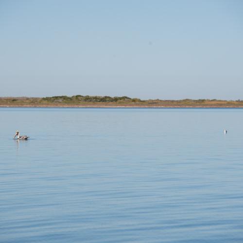 Texas coast