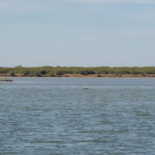 Baffin Bay shoreline