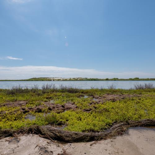 shoreline protection