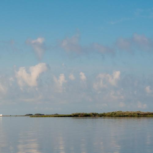 Spoil island in the Upper Laguna Madre, Texas