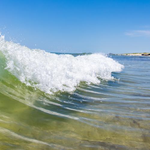 Wave on texas beach