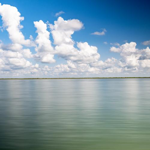 Texas bay
