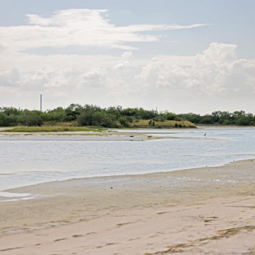 Tidal mud flat in Baffin Bay Texas