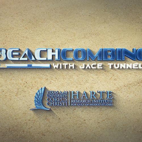 Beachcoming logo