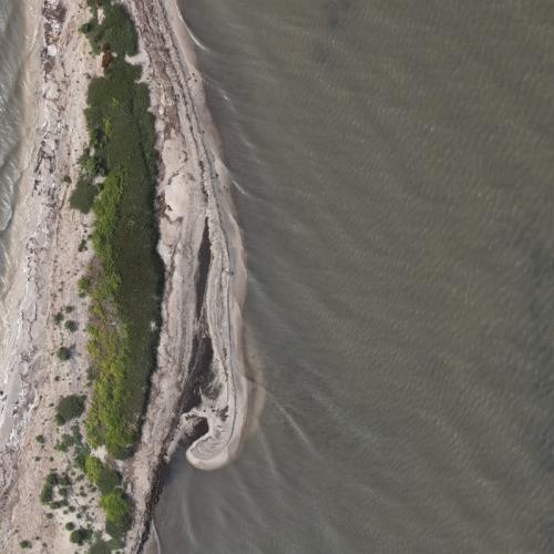 Aerial view of a rookery island in Texas