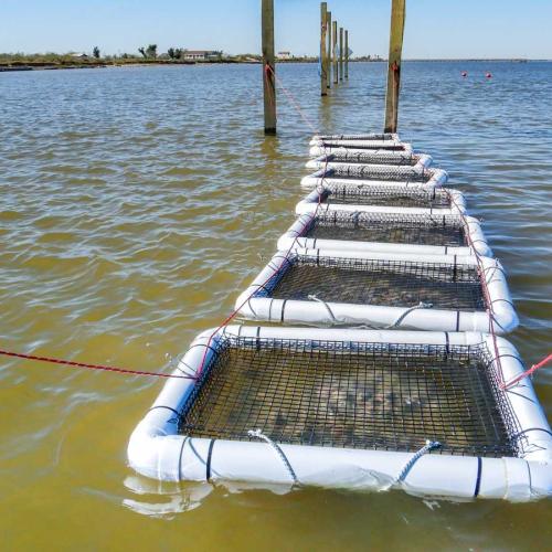 Oyster Farming Cages