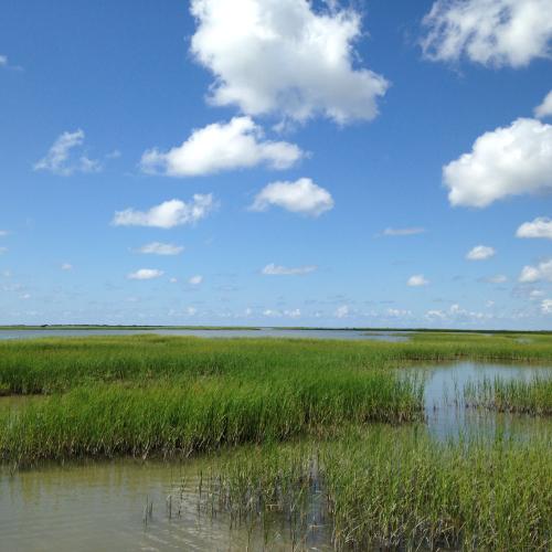 Matagorda Bay