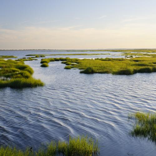 Texas coastline