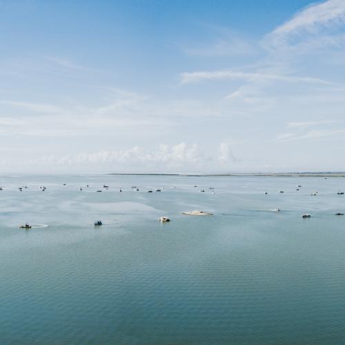 Oyster Harvesting Aransas Bay