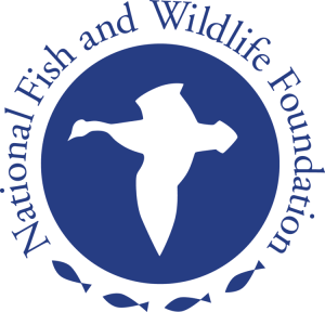 National Fish and Wildlife Foundation