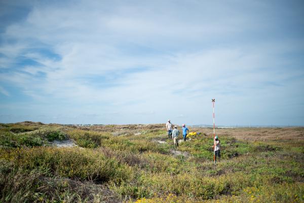 Mustang Island