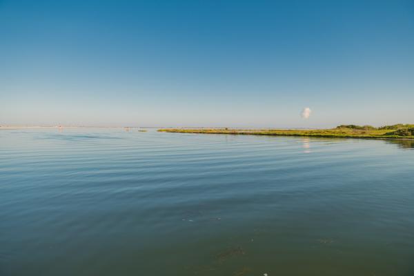 texas coast