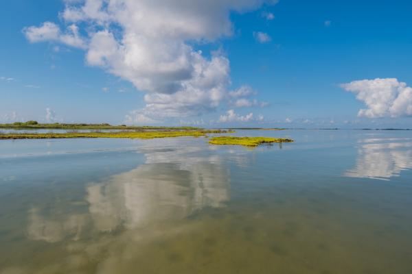 Texas bay