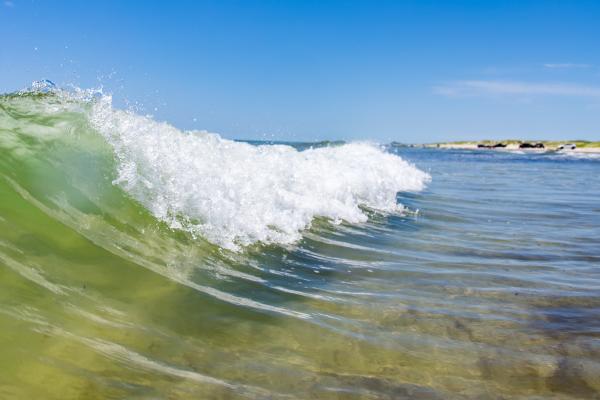 Wave on texas beach