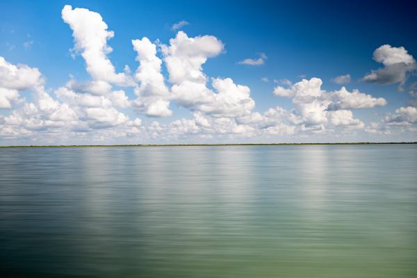 Texas bay
